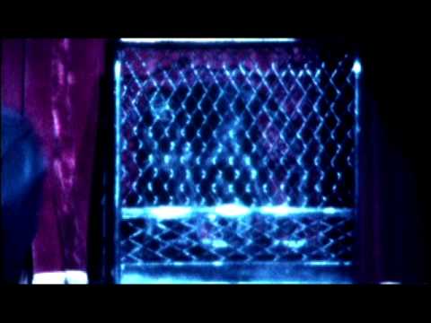 Kattadansarar - Stikla