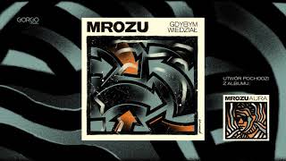 Gdybym Wiedział Music Video