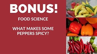 Sup! Kids Cooking Show Food Science Germany