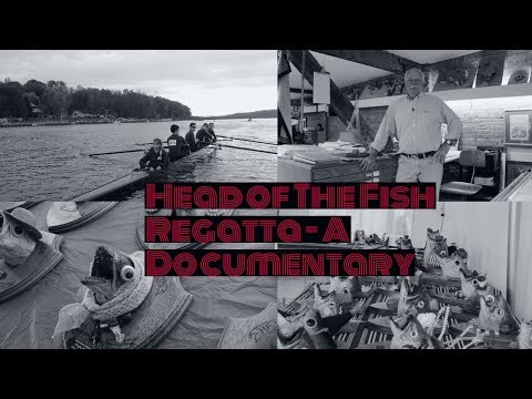 download lagu mp3 mp4 Head Of The Fish, download lagu Head Of The Fish gratis, unduh video klip Head Of The Fish