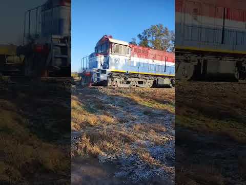 Un tren descarriló en el ingreso a la localidad de Aurelia: no habría personas heridas