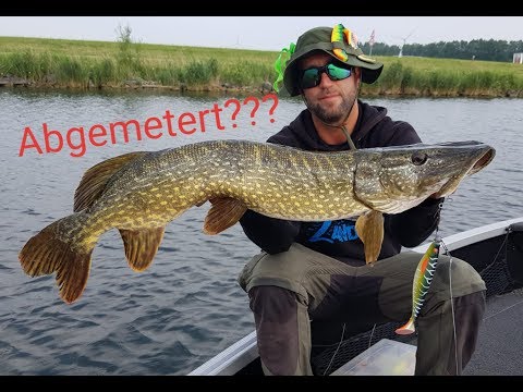 Hechtangeln mit dem Schraubenkopf System  im Flachwasser