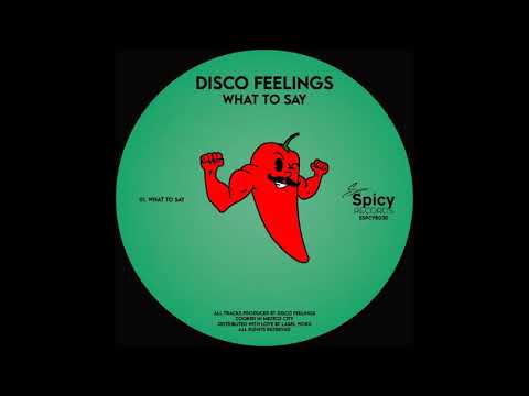 Disco Feelings - What To Say