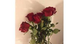 Nightcore - Chaya (nura „Remix“)