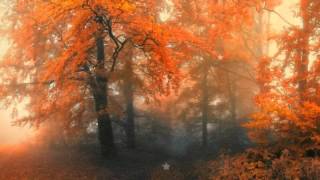 pablo milanes carta a un amigo