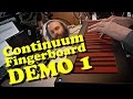 Continuum Fingerboard - Cuckoo Demo 1