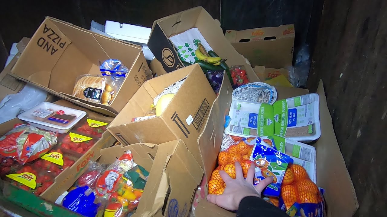 Dumpster Diving Aldi for Free Food #19