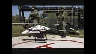 Military Insect Spy Drones Some Emit HAARP-Type EHF