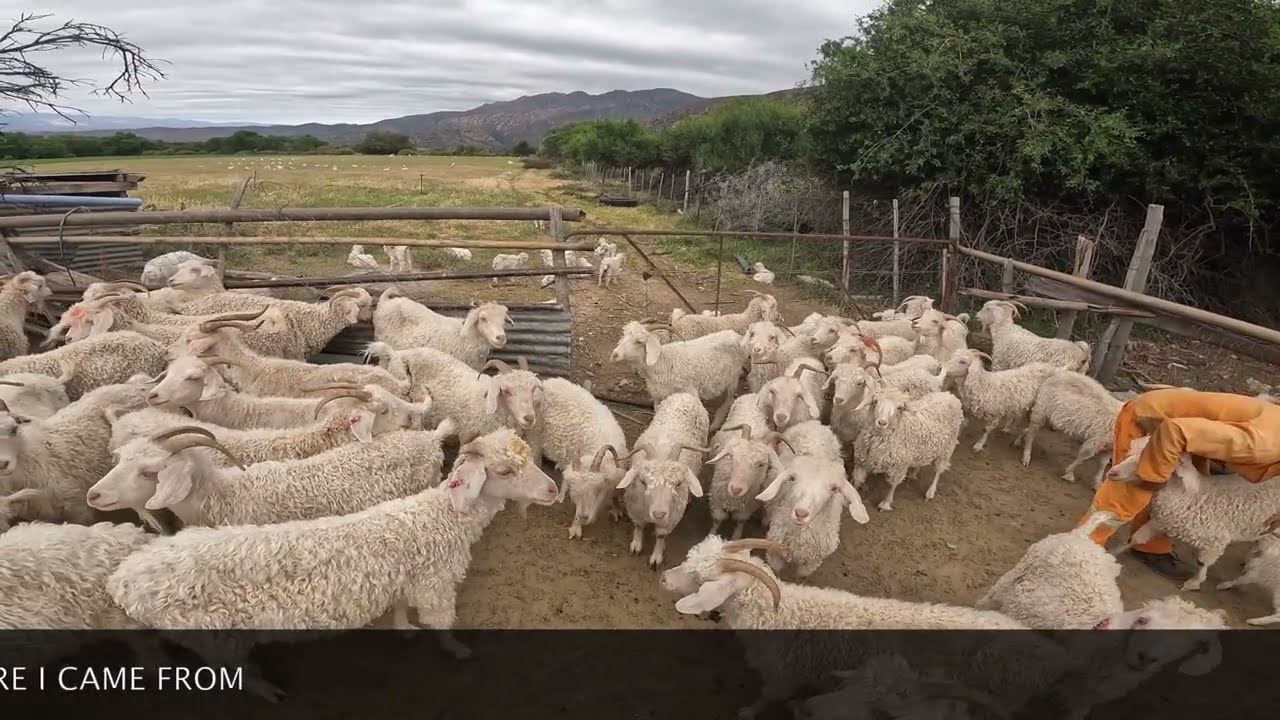 The Ghost of Uniondale South Africa