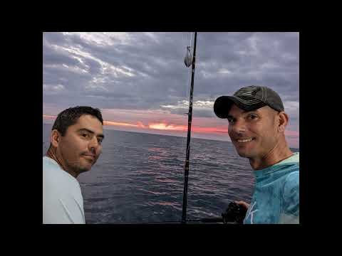 TTL Fishing - Halfway Ledge