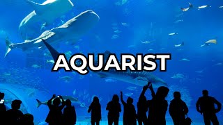 JOB OF THE WEEK - EPISODE #250 - AQUARIST