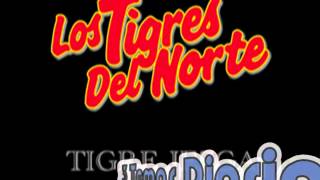 Morir Matando__Los Tigres del Norte Album El Ejemplo (Año 1995)