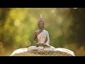 Gautam Buddha Status Buddha Status Budh Status Shortvideo