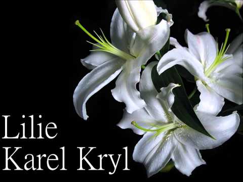 Lilie - Karel Kryl