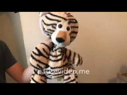 All My Sega Consoles