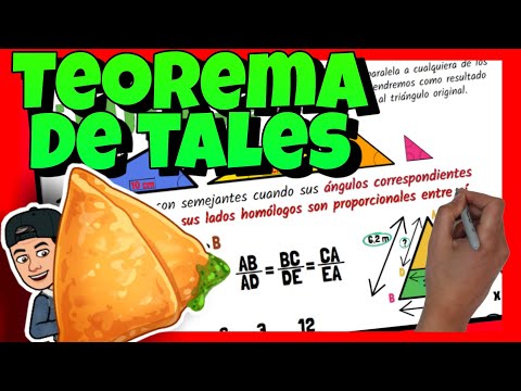 🔺 Thales' Theorem | Explanation and exercises