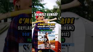 Skylar Grey Feat. Eminem - C’mon Let Me Ride [Sample Sunday]