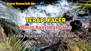 Download lagu Suara Gemericik Air Terapi Burung #Kacer Macet Bunyi dan Stres mp3
