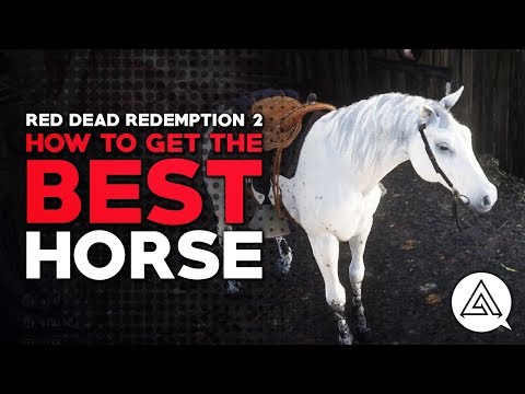 Red Dead Redemption 2 | How to Get the Best Horse