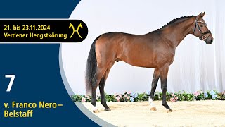 Video koně Fontenay