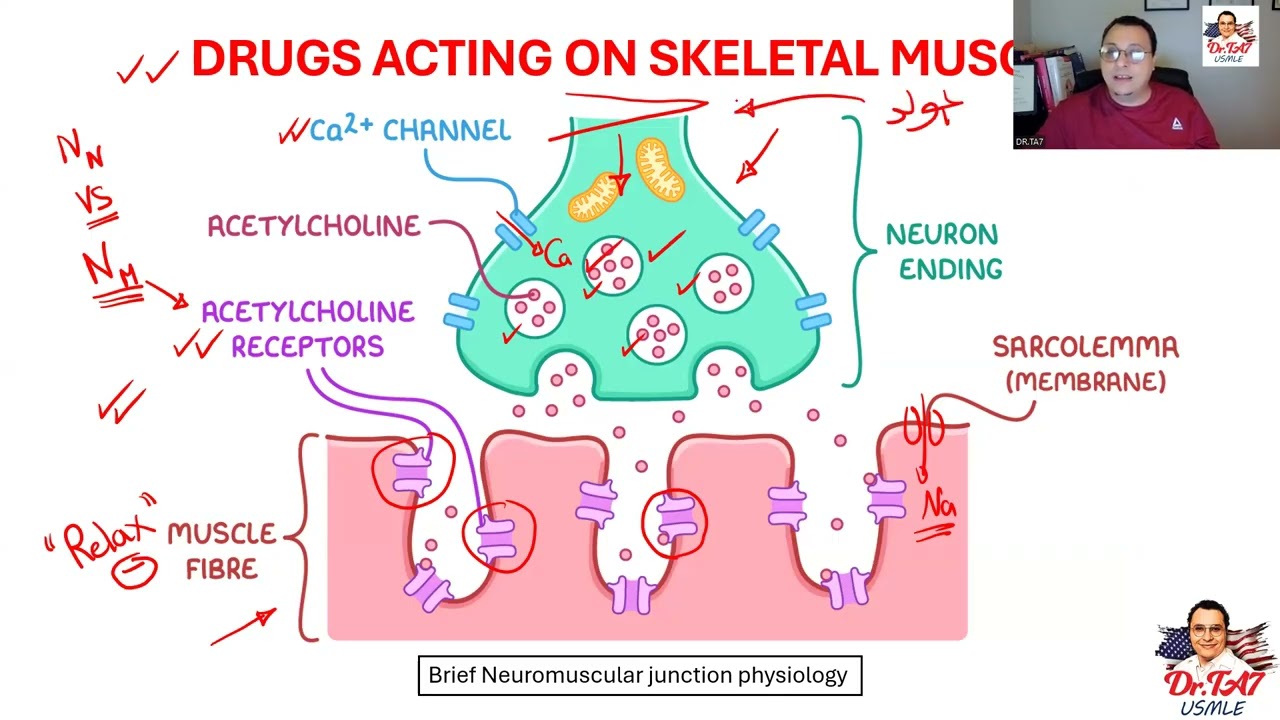 DR TA7: CNS PHARMACOLOGY 4