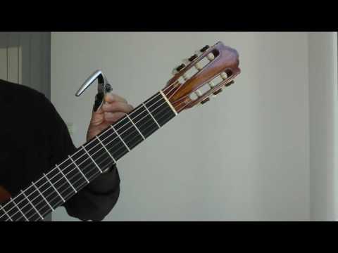 High-End Gitarrenschule Pavle Polacek, Band 1, Lektion 1, "Vorwort".