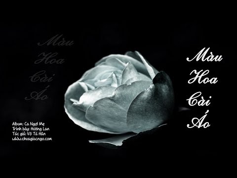 Màu hoa cài áo Sheet - Hương Lan