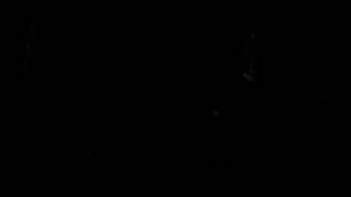 How Much Does A Polar Bear Weigh?