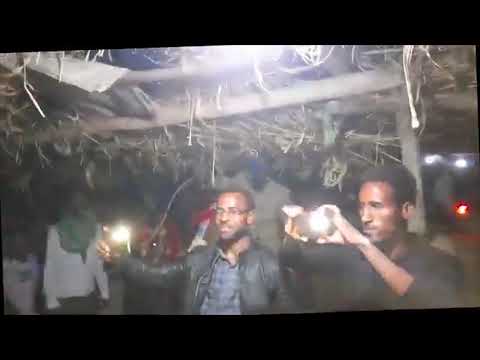 Amazing "ብሩረይ" ዝገርም ባህላዊ ደርፊ ተጋሩ! Fiseha Hailay Birurey