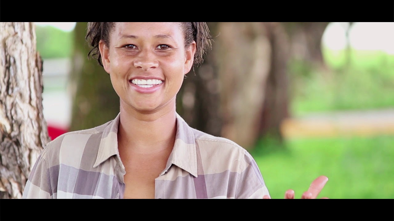 Viajando pela Região SUDESTE