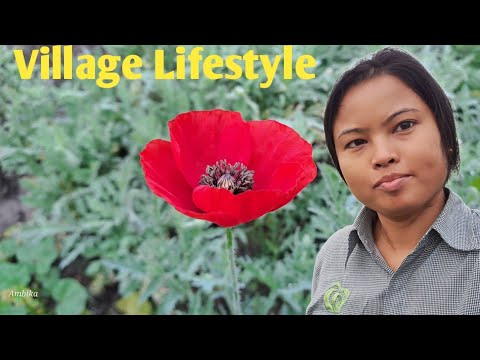 Village lifestyle #jalpesh Temple #Ambika ability #minivlog #natural beauty #natur#morning