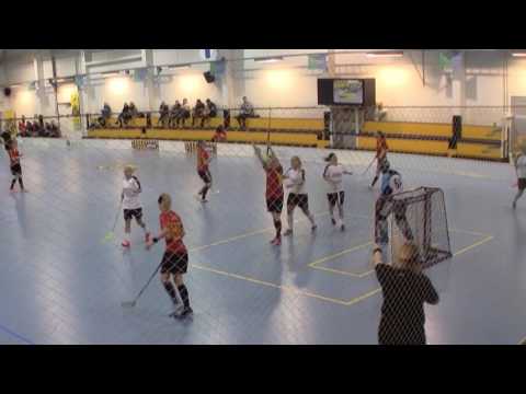 Maalikooste VÅSC 28.01.2017