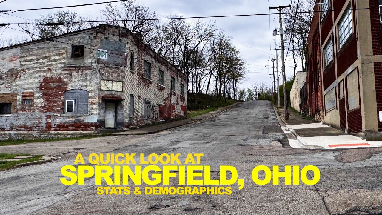 Missing Dogs & Cats? This Is Who Springfield OHIO Voted For - What I Saw (With Stats)