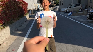 ふれんずわたげ のライブ ストリーム
