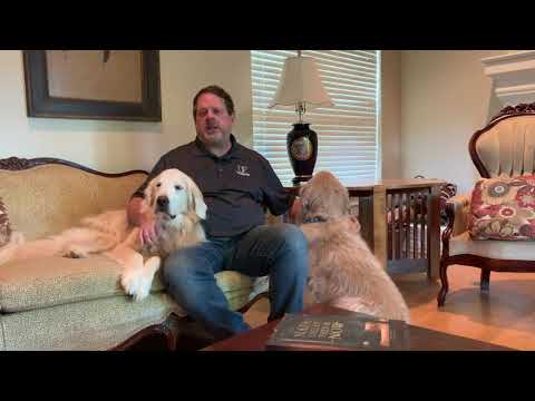 You Can Still Get Legal Help in A Disaster!