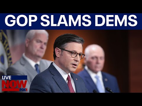 Johnson slams Democrats amid shutdown