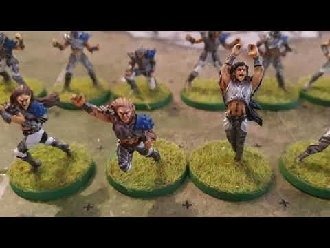Greebo Miniatures Elves painted as High Elves.