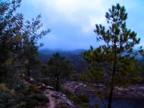 Requiem (Introito) - Carlos Gama