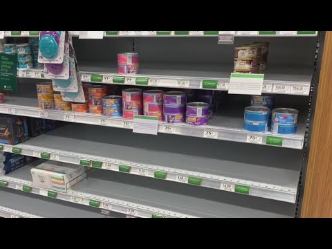 Cat food shortage leads to empty shelves
