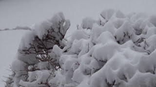 Algo Mas - Neury Luciano (Video Oficial)