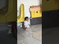 Golla Ko Mirchi Khaani Hai Golla Funny Bhartisingh Haarshlimbachiyaa Shorts