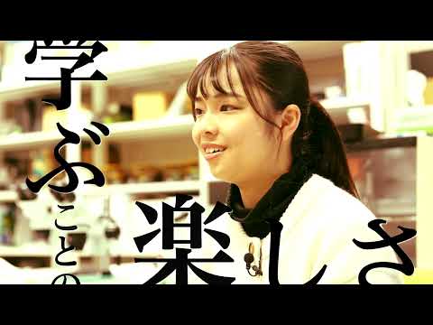 【工学部】2023キャップストーンプロジェクト