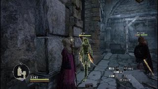 ドラゴンズドグマ　超ぐるぐる回転！