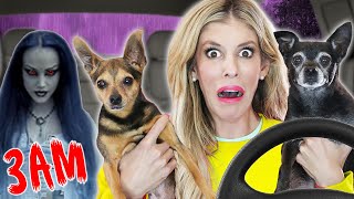 24 Hours Overnight In a Car with My Dogs Challenge