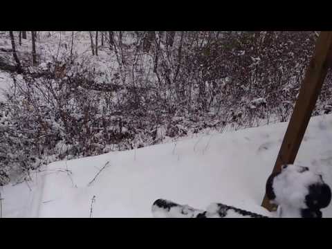 Sig Mpx Cold Weather Function Test