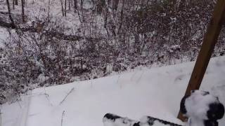 Sig MPX cold weather function test