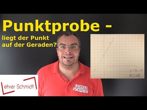 Point test - Does the point lie on the line? | Mathematics - simply explained | Lehrerschmidt