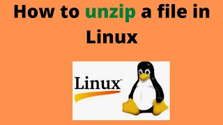 How to unzip a file in Linux