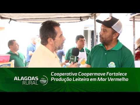 Cooperativa Coopermave Fortalece Produção Leiteira em Mar Vermelho