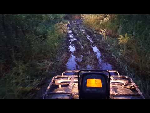 Kenda Bear claw trail test
